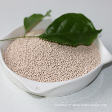 molecular sieve 13x shanghai price